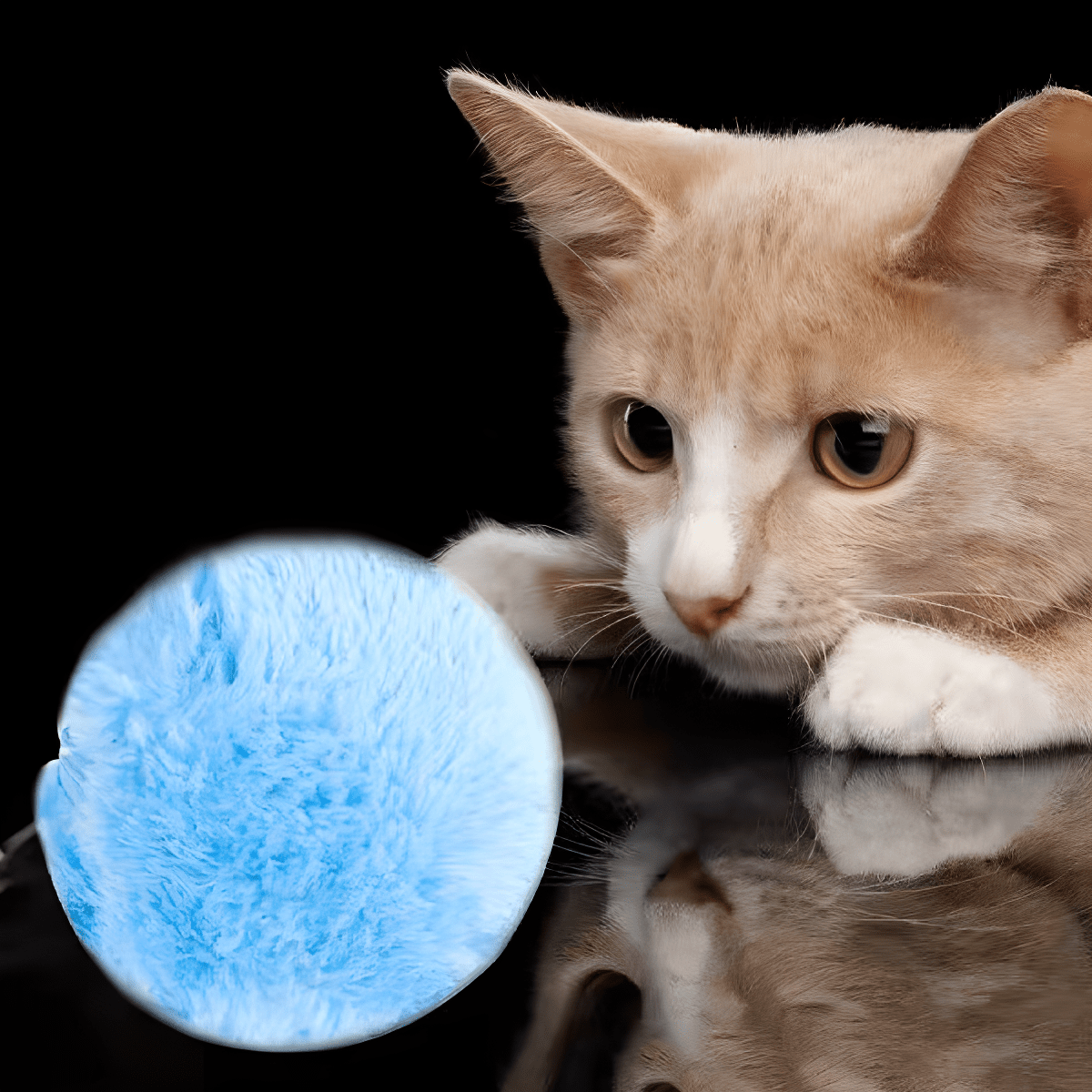 Electric Pet Rolling Ball (4 Colors) - Purrdream