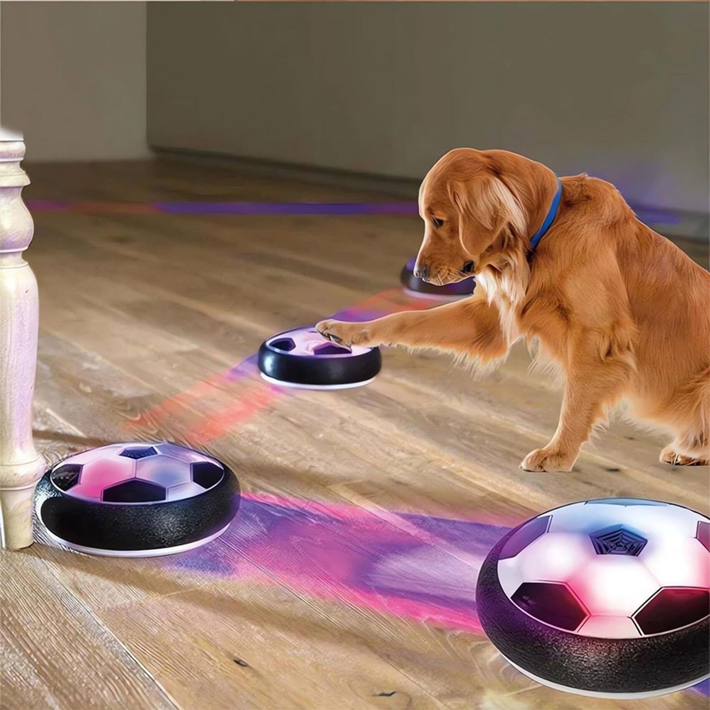 Pet Skateboard Flying Saucer Ball With Light - Purrdream