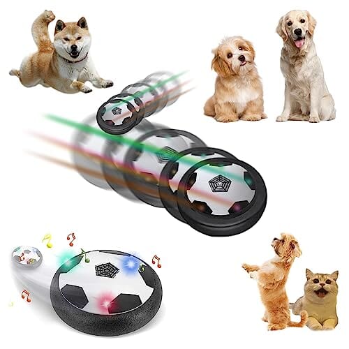 Pet Skateboard Flying Saucer Ball With Light - Purrdream