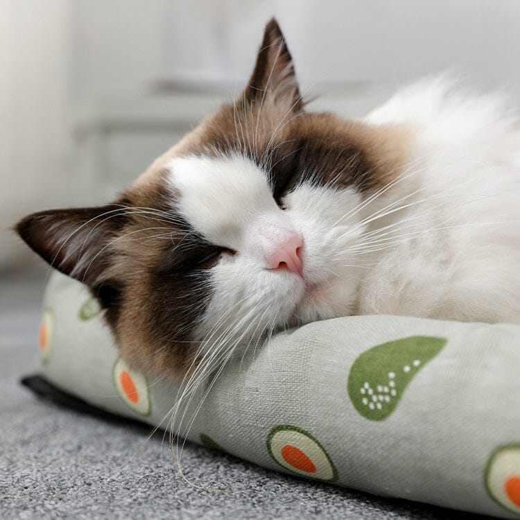 Pets Like Me - Washable Rattan Mat For Pets - Purrdream