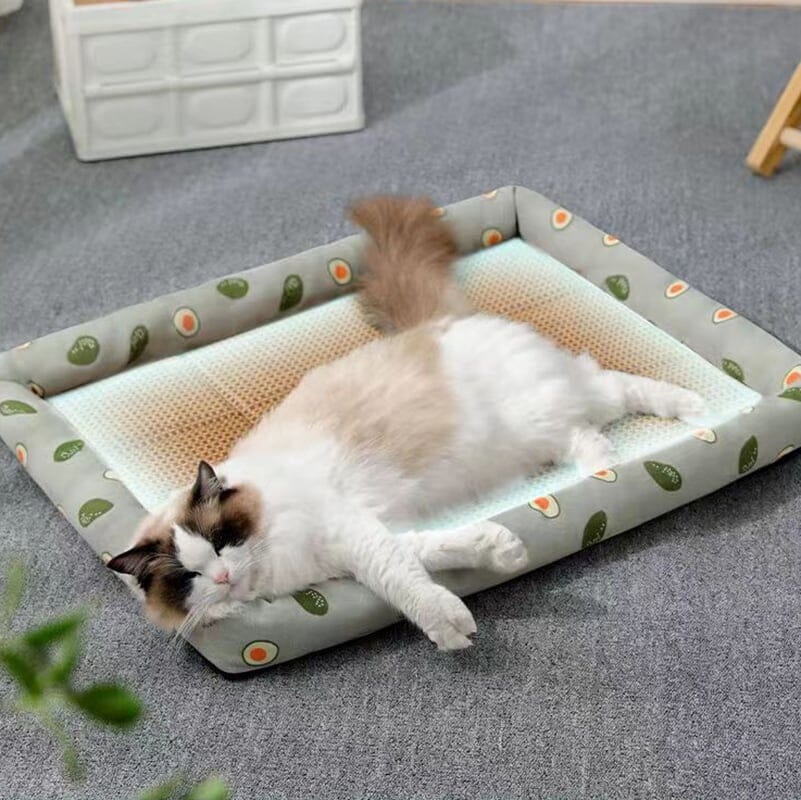 Pets Like Me - Washable Rattan Mat For Pets - Purrdream